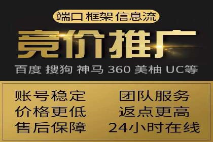 百度竞价排名服务：成功案例解析
